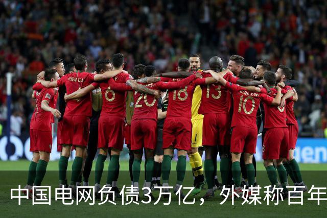 中国电网负债3万亿，外媒称百年难回本